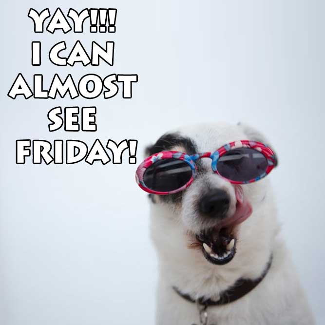 YAY I CAN ALMOST SEE FRIDAY! - Funny Friday Memes pictures, photos, images, pics, captions, jokes, quotes, wishes, quotes, SMS, status, messages, wallpapers - Funny Friday Memes pictures, photos, images, pics, captions, jokes, quotes, wishes, quotes, SMS, status, messages, wallpapers