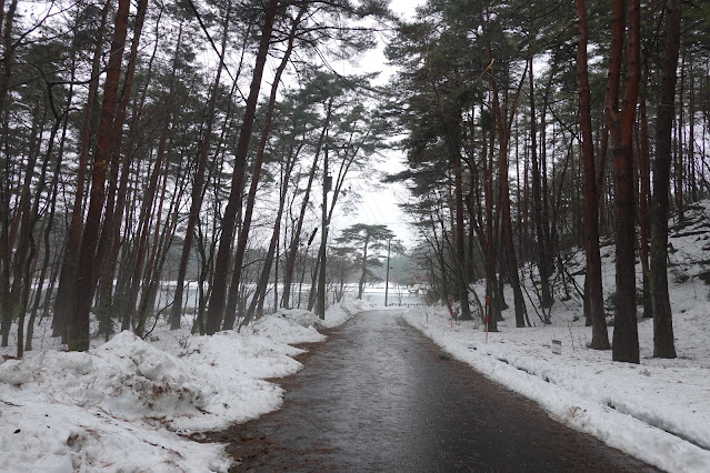 鳥取県西伯郡伯耆町丸山 ロイヤルシティ大山