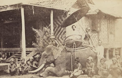 gajah di jawa