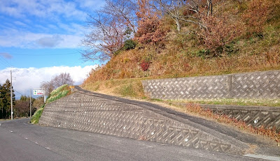 スイセンの丘(千早赤阪村)２０１８～２０１９年