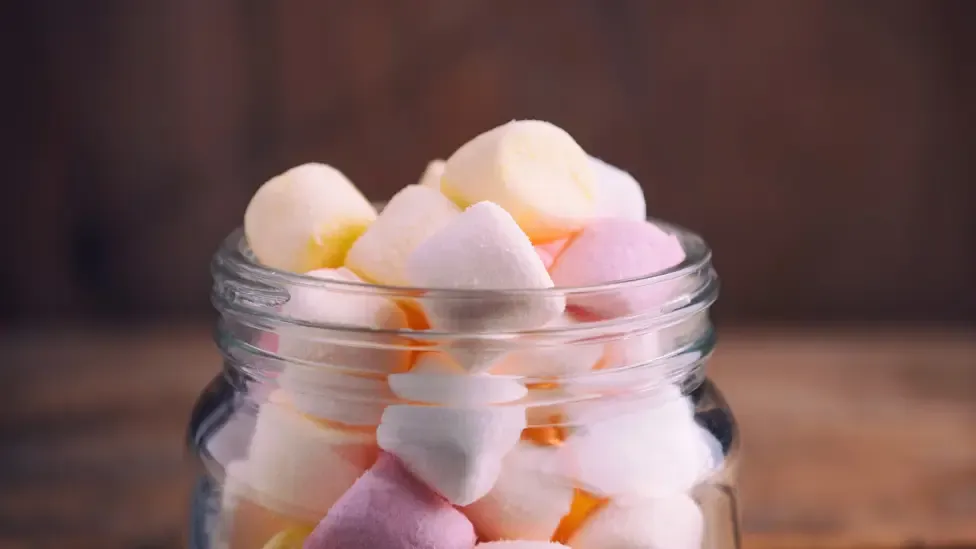 eksperimen-marshmallow-pengendalian-diri-dan-ketabahan