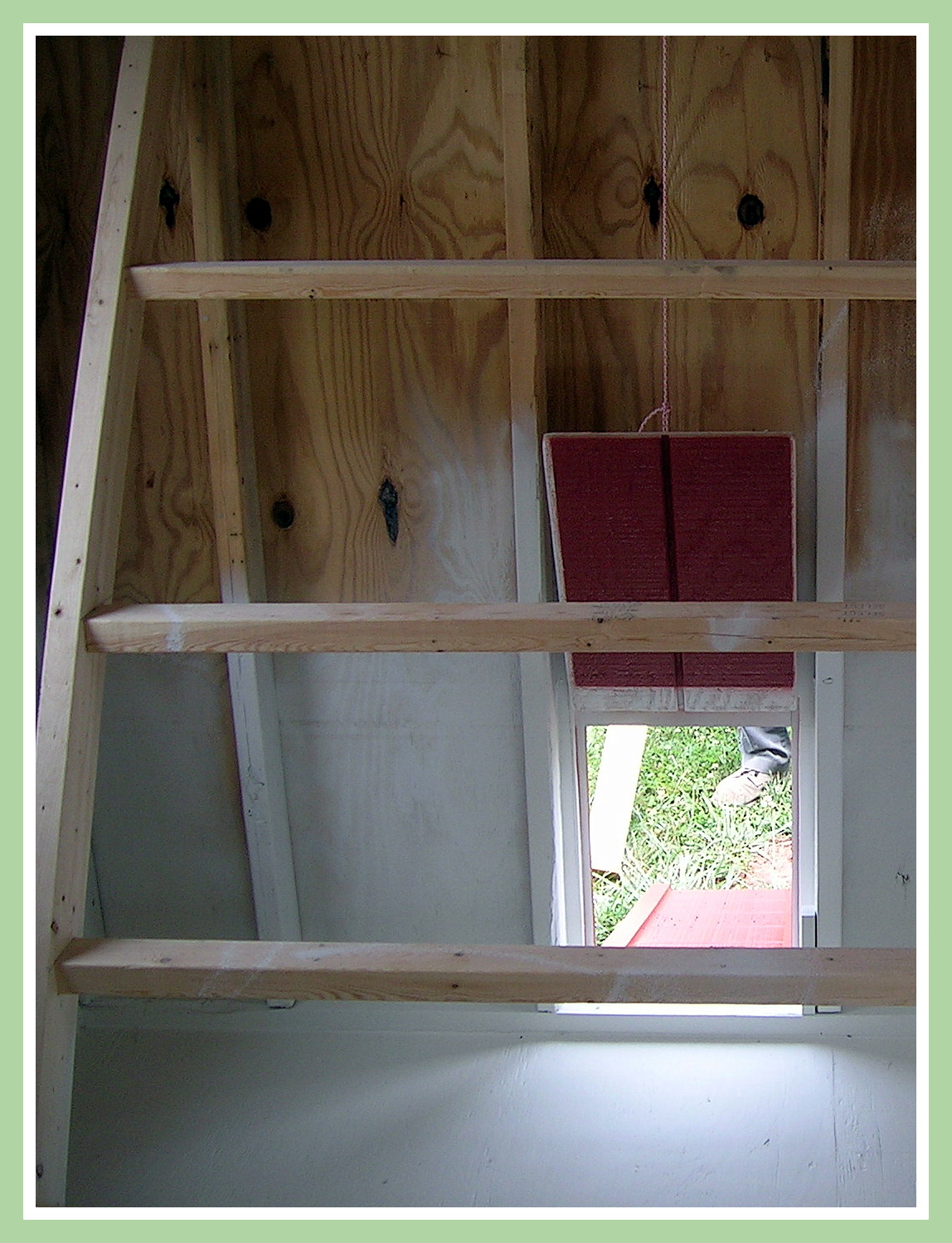 Chicken Coop Chicken Door and Roosting Perches