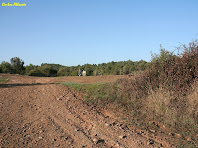 Caminant a prop dels camps de Cal Riols. Autor: Carlos Albacete