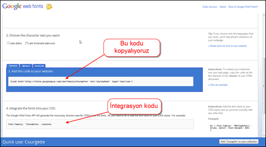 Google Web Fonts