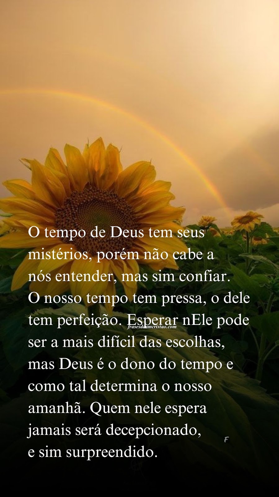 O tempo de Deus tem seus mistérios, porém não cabe a nós entender, mas sim confiar. O nosso tempo tem pressa, o dele tem perfeição. Esperar nEle pode ser a mais difícil das escolhas, mas Deus é o dono do tempo e como tal determina o nosso amanhã. Quem nele espera jamais será decepcionado, e sim surpreendido.