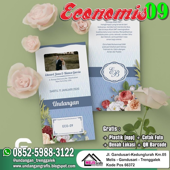 ECONOMIS 09