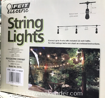 Feit Electric 48ft Incandescent String Lights (Model No. 72115): light up the night!