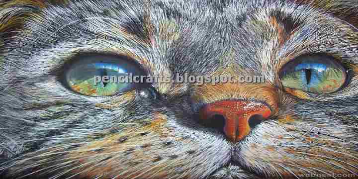 Cat Pencil Drawings Sketches and Ideas