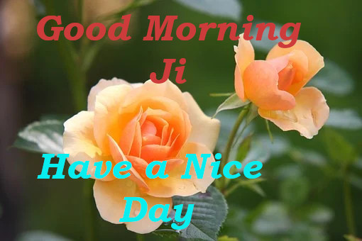 Latest Best Good Morning Wishes.