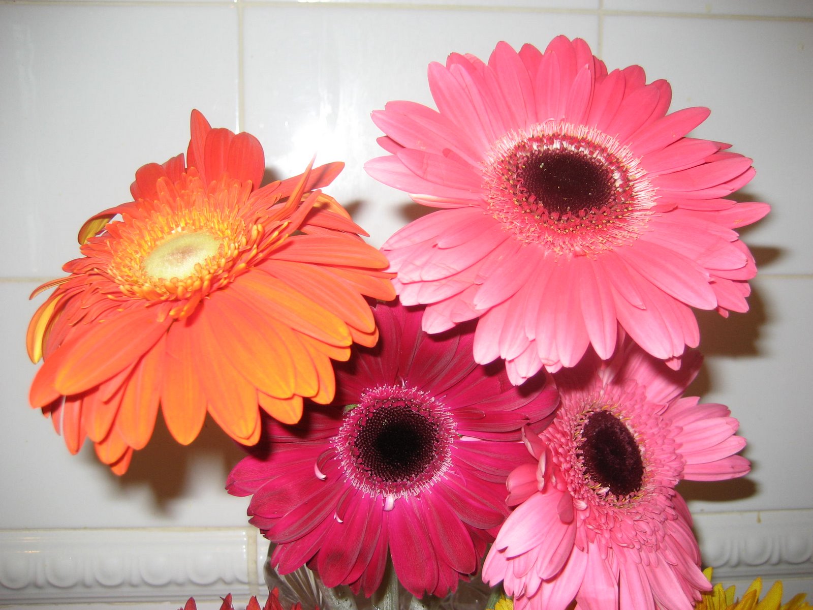 More flowers