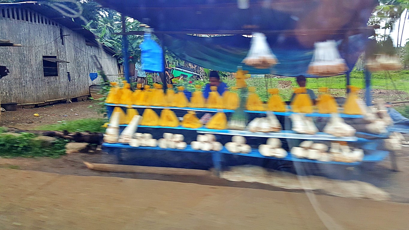 roadside stores in Saguiaran (near the border with Lanao Del Norte) where they sell mainly "suso" (snails)