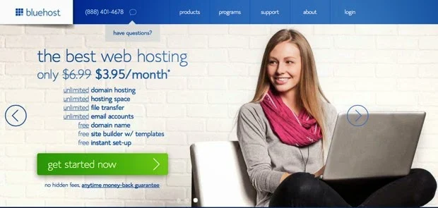 bluehost for business