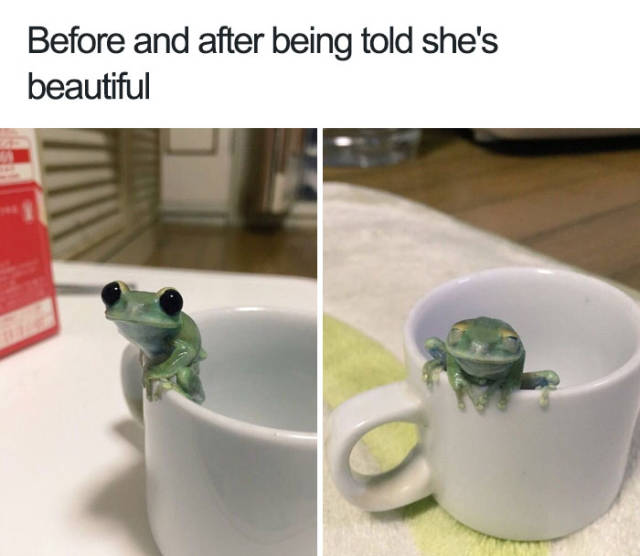 Before and after being told she's beautiful.