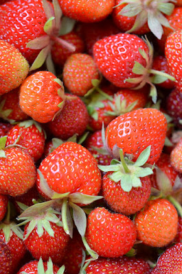 Bild von frischen, saftigen Erdbeeren in Nahaufnahme.