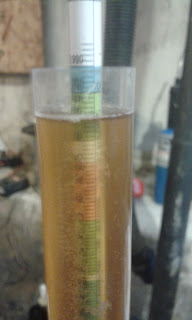 Lambic barrel gravity reading at Day 60