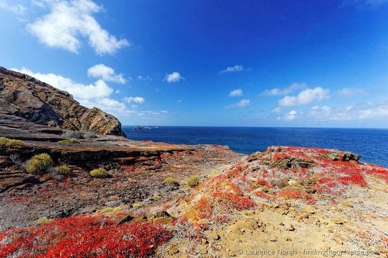 Die Farben von Punta Pitt, San Cristobal, Galapagos
