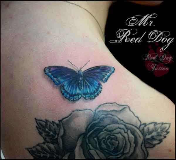 Butterfly Tattoo Designs