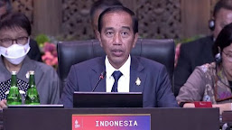 Presiden Jokowi "Kerja sama riset dan transfer teknologi diperkuat" G20
