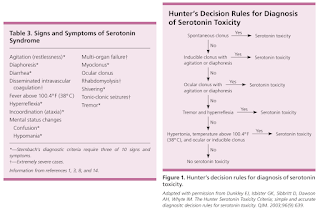Hunter Serotonin Toxicity Criteria or Sternbach's criteria.