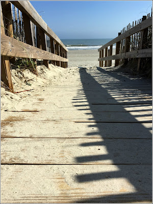 February 21, 2019 Walking out onto the beach at low tide.