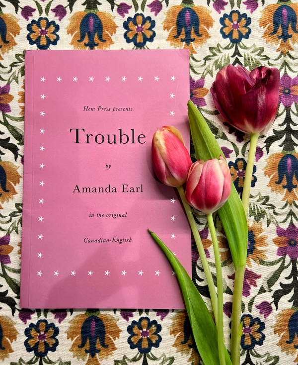 Trouble cover