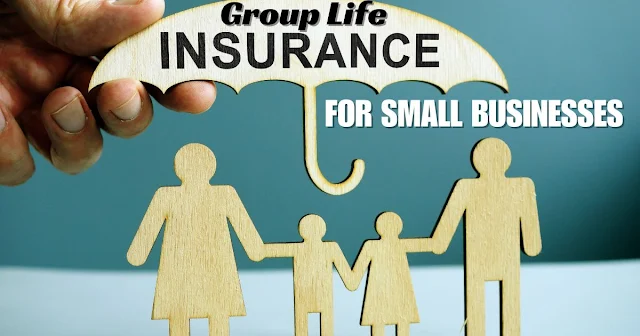 Group Life Insurance for Small Businesses