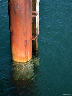 morning - sea green and rust