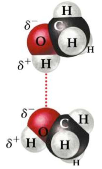 Hydrogen bond.