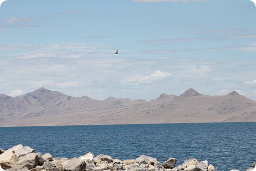 Great Salt Lake Canon 027