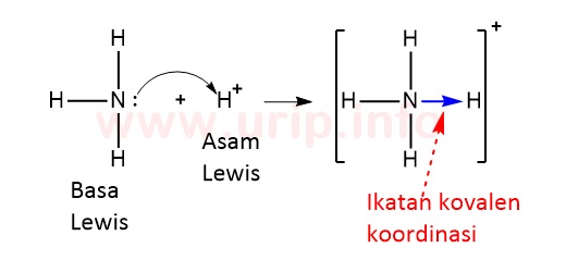 Reaksi Asam basa Lewis serta Penggolongannya Urip dot Info