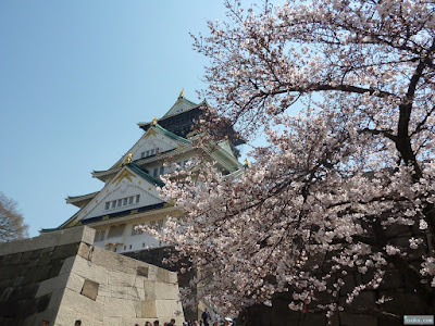 大阪城と桜