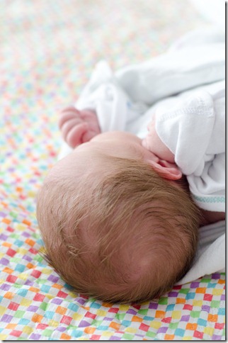 24 may 12 maggie one day old (15)
