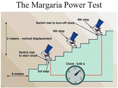 Margaria-Kalamen Power Test to Measure Athletes Power
