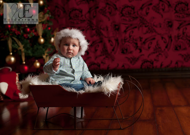 Baby Christmas Portrait