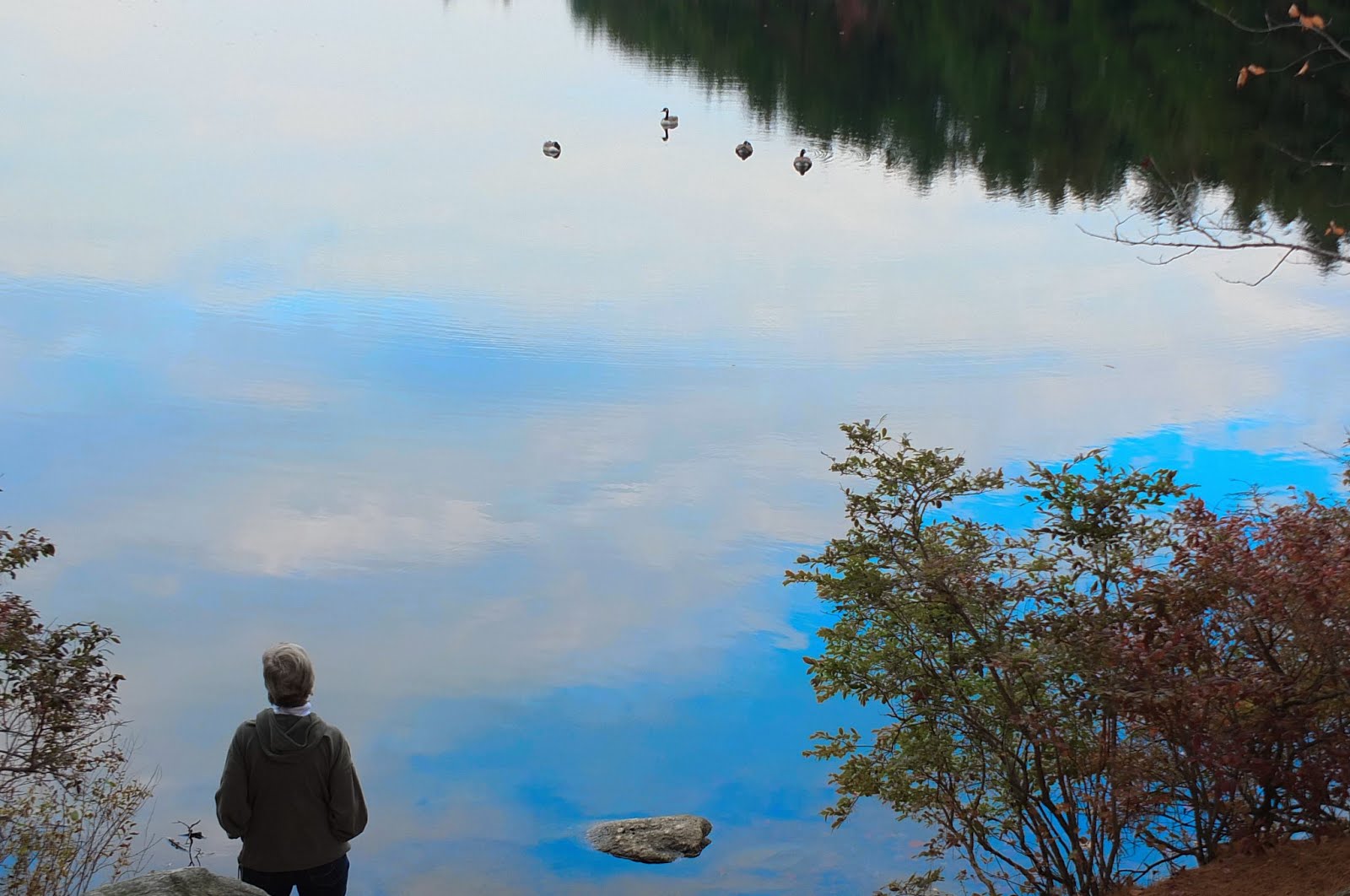 New Hampshire Fall 2015