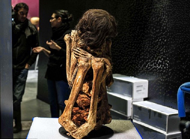 Peruvian mummy prepared for French exhibition after excavation in 2012 