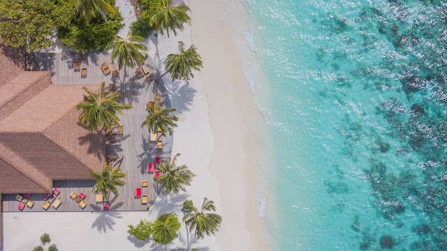 Beach, Sand, Aerial View, Palm Trees