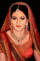 beautiful, indian, bride, oil painting, commission-basis, canvas, portrait