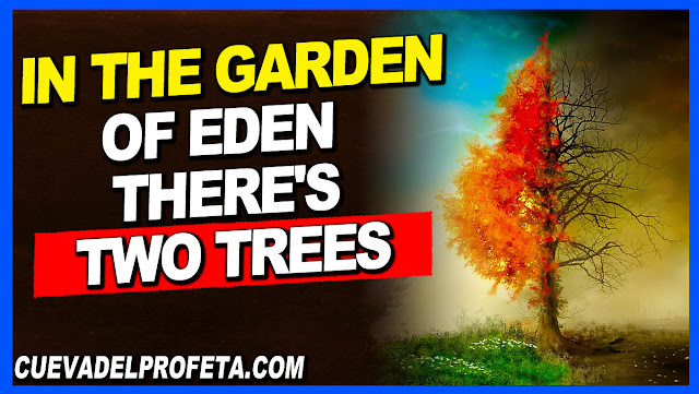 In the garden of Eden, there's two trees - William Marrion Branham