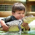 alligators and soft skills