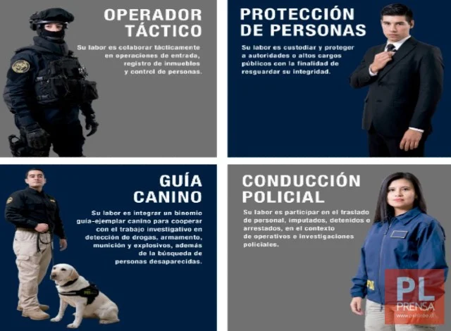 PDI tiene abiertas las postulaciones para el curso Asistente Policial