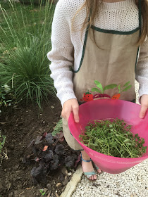 petite fille tient une salade d'herbes