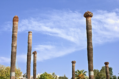 Troncos de palmera en el Parque del Retiro (Jerez)