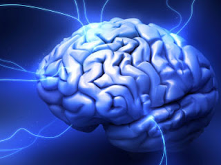  Terapi Listrik Dapat Menghambat Koneksi pada Otak  Pintar Pelajaran Terapi Listrik Dapat Menghambat Koneksi pada Otak