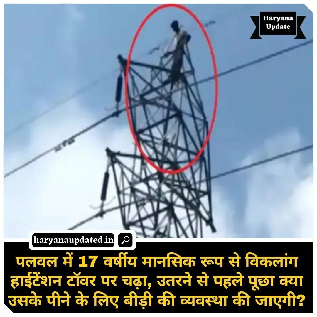 palwal news today, boy climbed on tower, asked for bidi before coming down from the tower, latest haryana news today