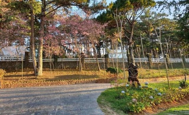 Bán 8858m2 đất xây khách sạn 4-5* đường Trần Hưng Đạo TP Đà Lạt, giá 320 tỷ