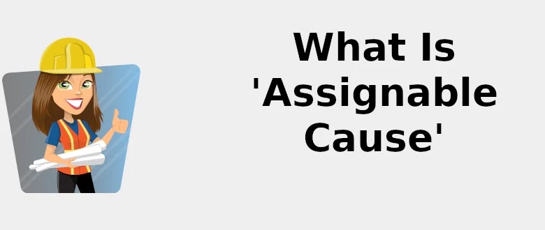 assignable cause definition