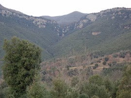 DSC01690