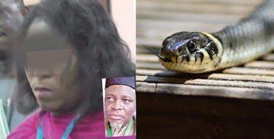 JAMB suspends worker over N36 million swallowed by snake