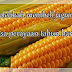 Bolehkah membeli jagung sisa perayaan tahun baru